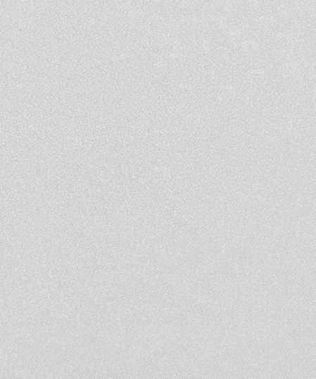 WS-9613
